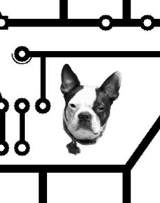 Bones the Boston Terrier on a PCB mask